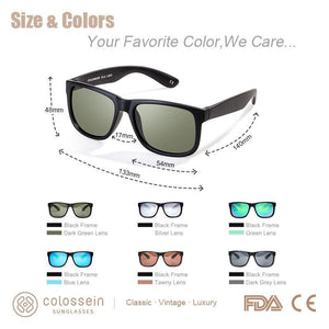 COLOSSEIN Classic Retro Men's UV400 Sunglasses