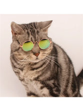 Load image into Gallery viewer, Sunglasses For Pet Cats