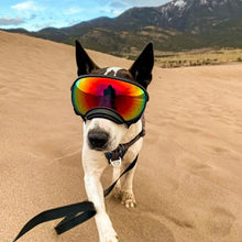 Load image into Gallery viewer, Dog Sunglasses Anti-UV Eyewear Protection