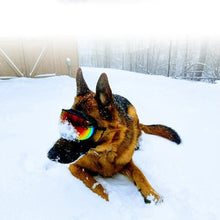 Load image into Gallery viewer, Dog Sunglasses Anti-UV Eyewear Protection