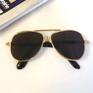 Sunglasses For Pet Cats
