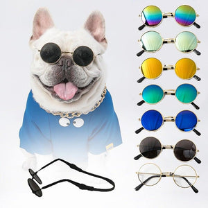 Pet Vintage Sunglasses Harness - Sunglass Associates