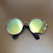 Load image into Gallery viewer, Pet Vintage Sunglasses Harness - Sunglass Associates
