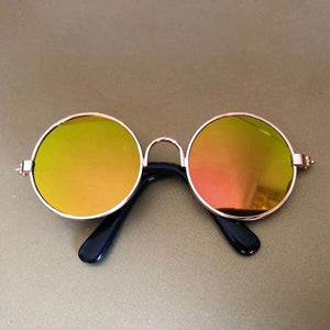 Pet Vintage Sunglasses Harness - Sunglass Associates