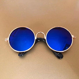 Pet Vintage Sunglasses Harness - Sunglass Associates