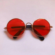 Load image into Gallery viewer, Pet Vintage Sunglasses Harness - Sunglass Associates