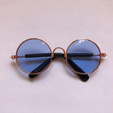Load image into Gallery viewer, Pet Vintage Sunglasses Harness - Sunglass Associates